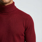 Erwin | Herren-Rollkragenpullover aus Feinstrick, Klassischer Herbst-Pullover | Nomad NTS