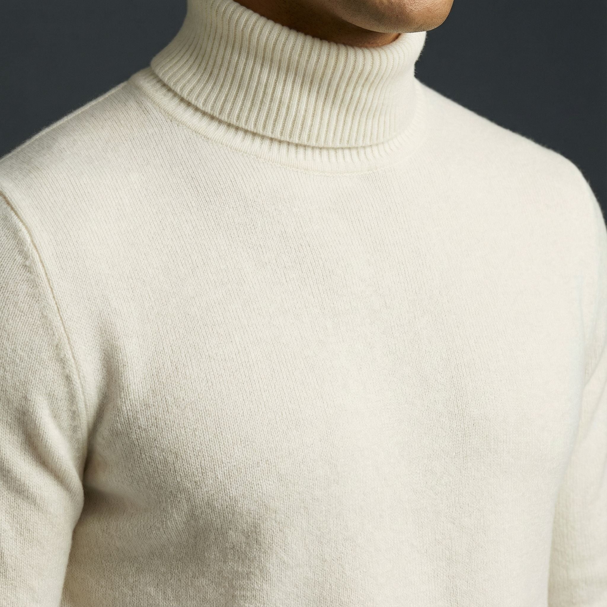 Erwin | Herren-Rollkragenpullover aus Feinstrick, Klassischer Herbst-Pullover | Nomad NTS